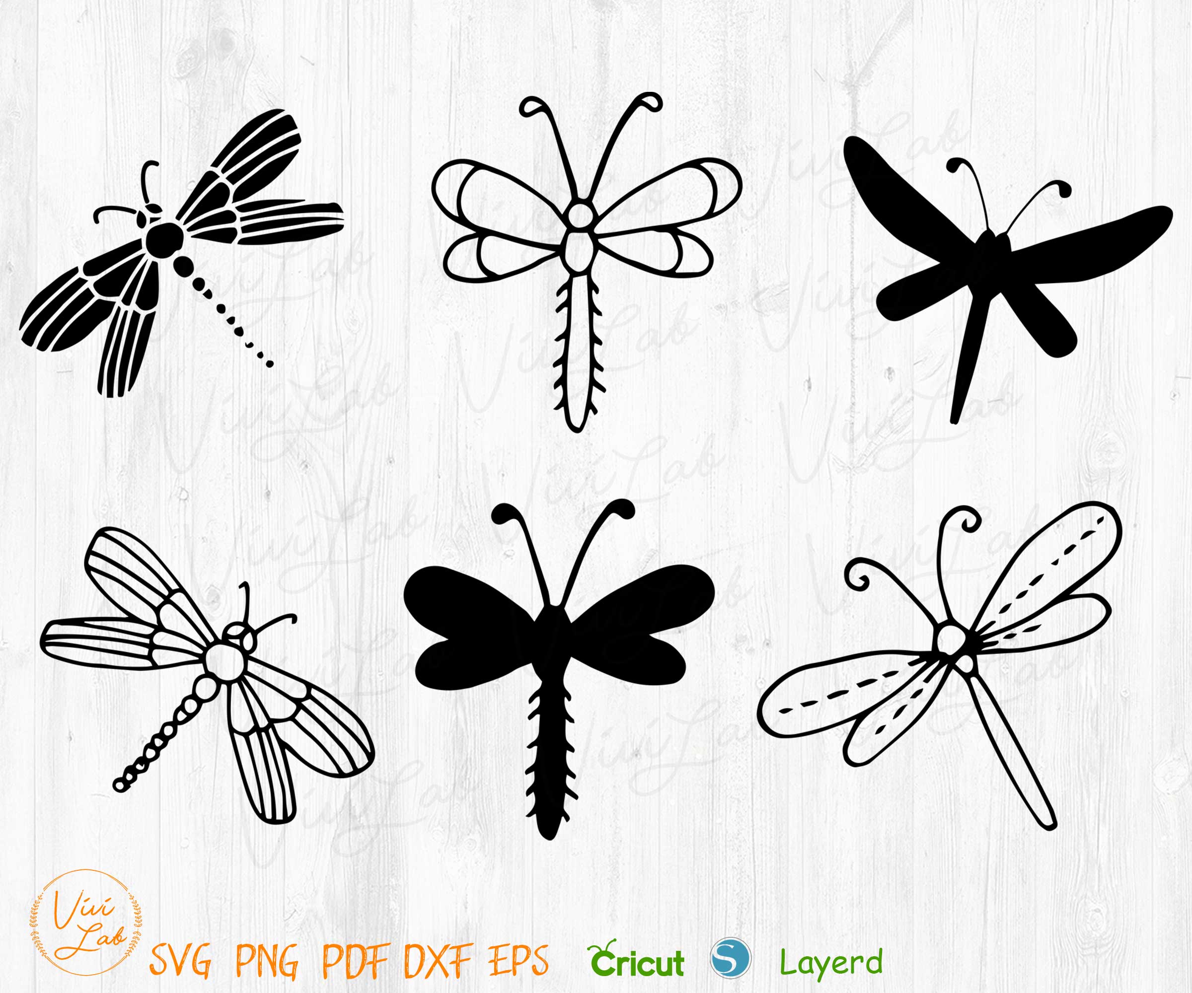 Dragonfly silhouette svg png vector