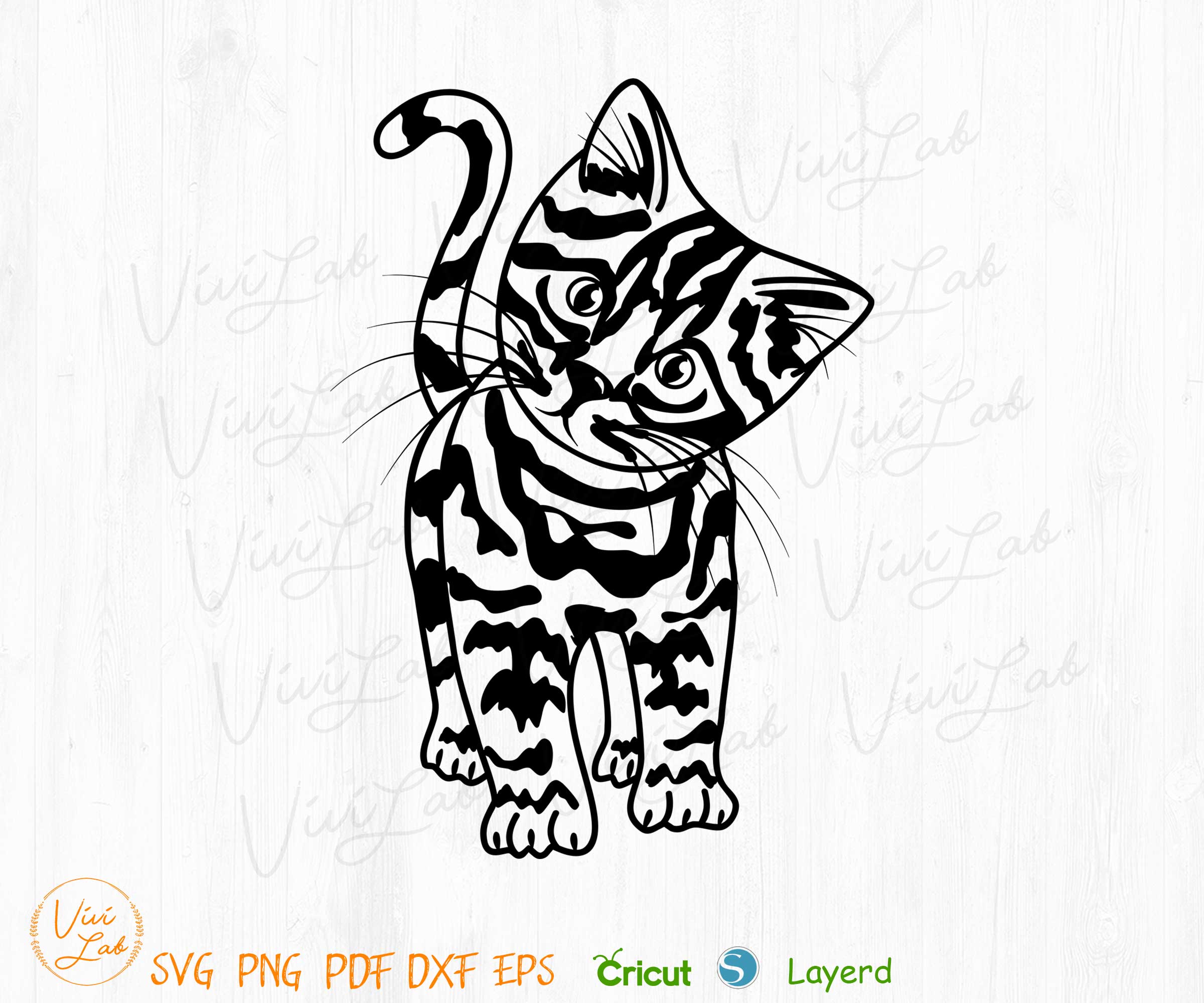 Cute Kitty svg png vector